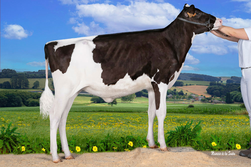 CASAS SB HULU AINZA 788