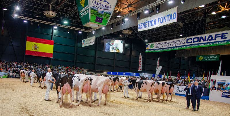 CONCURSO NACIONAL RAZA FRISOA