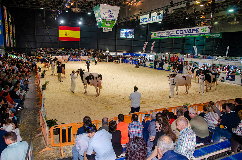 concurso nacional