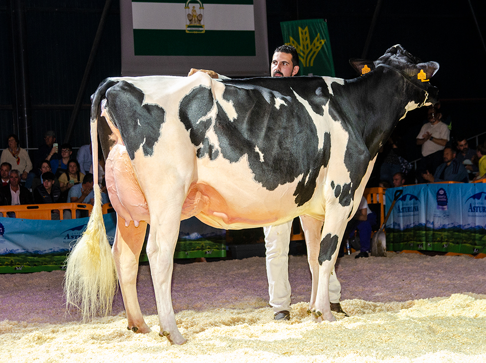 REY 1066 CHIEF BRUNA - Subcampioa Nacional