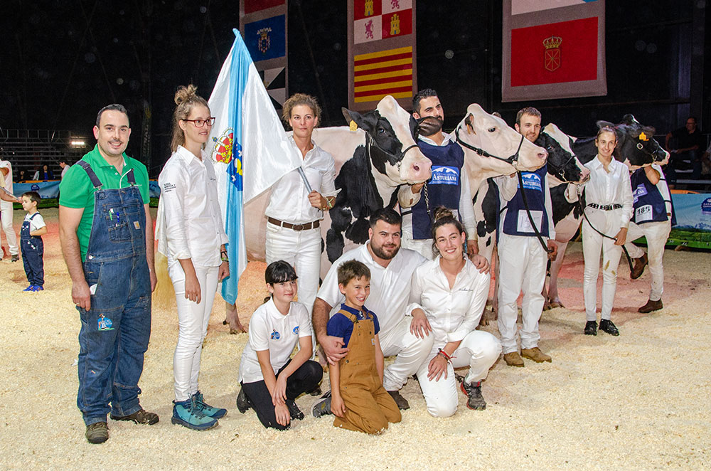 LOTE AUTONOMIA