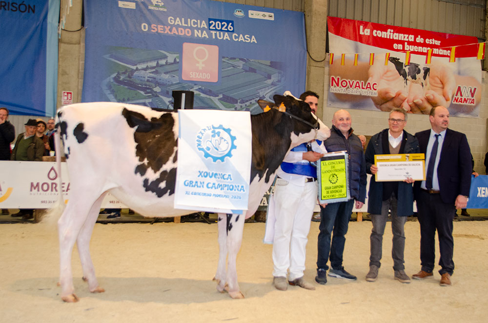 REY 1346 DANI NEGARIEL