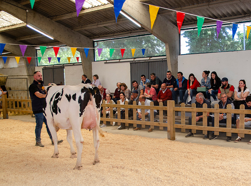 POXA SARRIA 2024