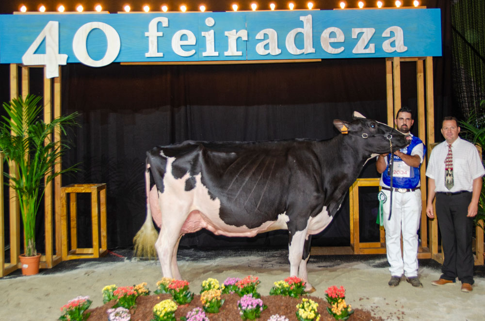 VACA INTERMEDIA CAMPIONA