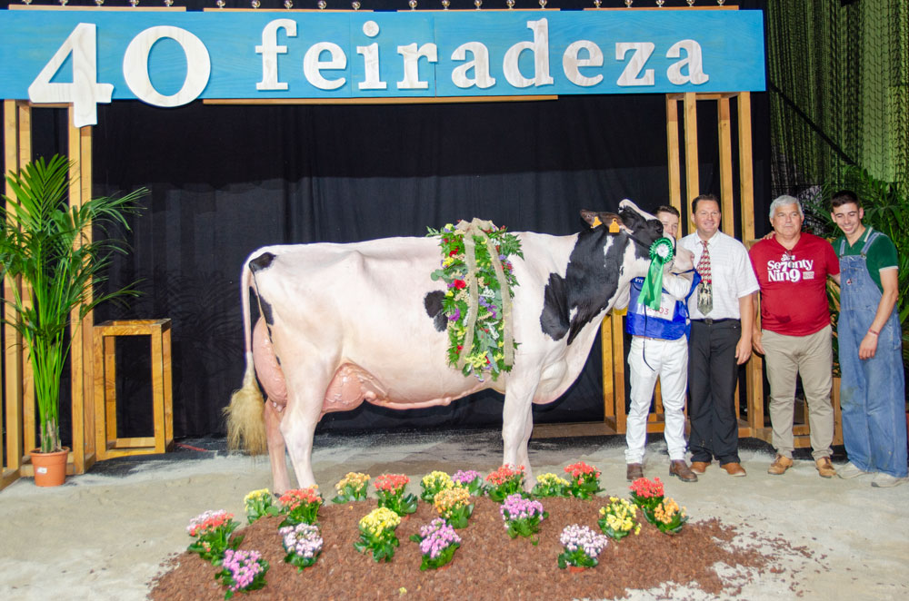 KERGO OZALID 6818