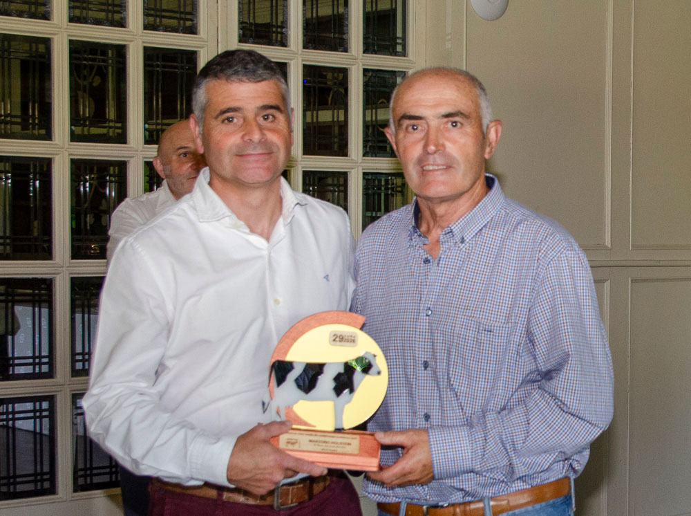 MANTOÑO HOLSTEIN
