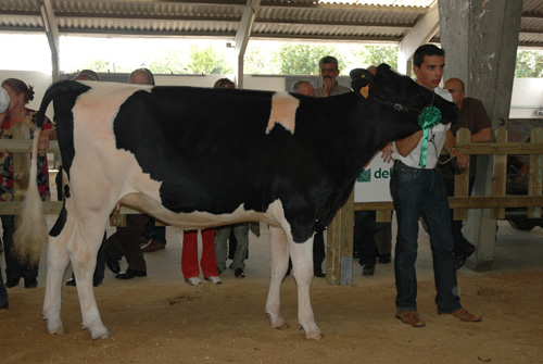 Cancela Buckeye Lenor