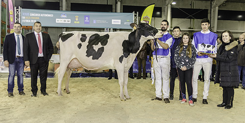 VACA GRAN CAMPIONA DE GALICIA