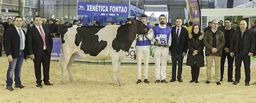 GRAN CAMPIONA DE XOVENCAS