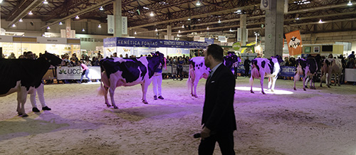 REXIONAL GALICIA 2019