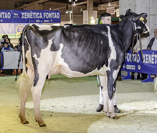 POZOSAA DEMPSEY 0636 LUBITA