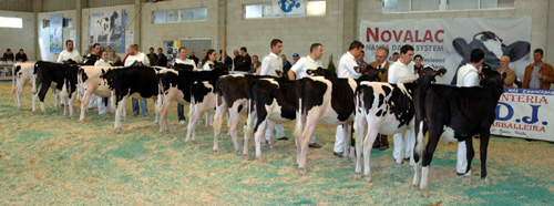 MOEXMU 2012