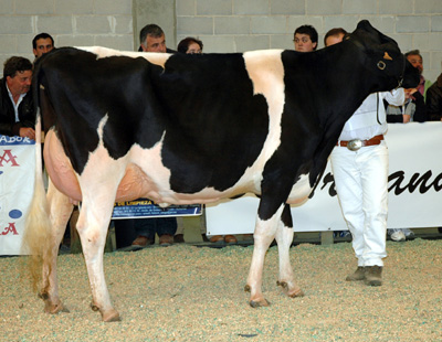 CESARES BOEZA DANCER