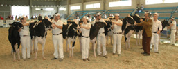 CONCURSO DE MANEXADORES