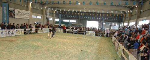 POXA MOEXMU