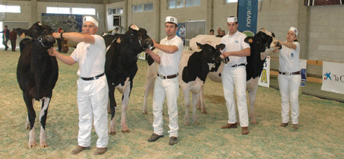CONCURSO DE XOVENES MANEXADORES