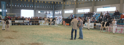 CAMPIONATO MANEXADORES