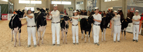 CONCURSO MANEXADORES