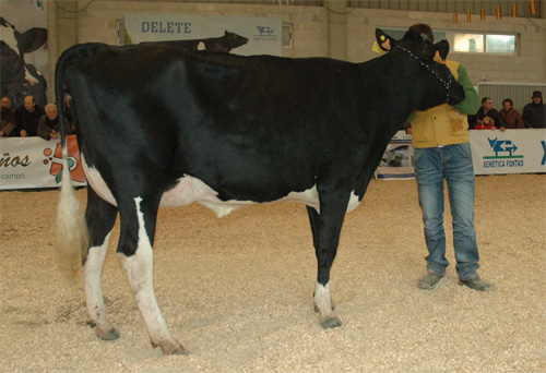 XERCAS AGRAI CHAMOSO
