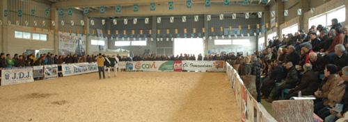POXA AFRICOR LUGO