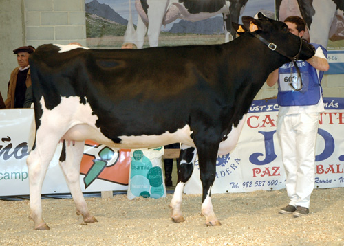 VEGA DEMPSEY DELIA