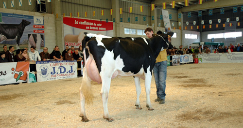 POXA MOEXMU 2014