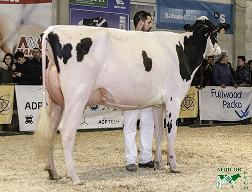 CAMPIONA MOEXMU 2019