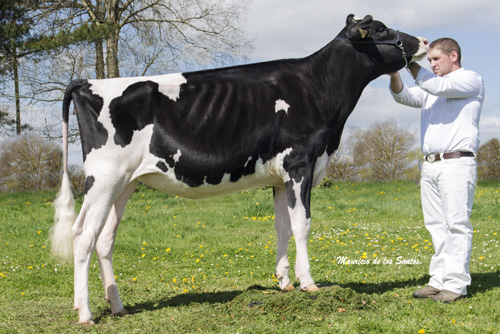 POZOSAA ATWOOD 7128 TAMARA