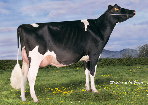 REY 593 DINIA ATWOOD ET