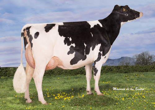 MANTEIGA SHOTTLE LUNA