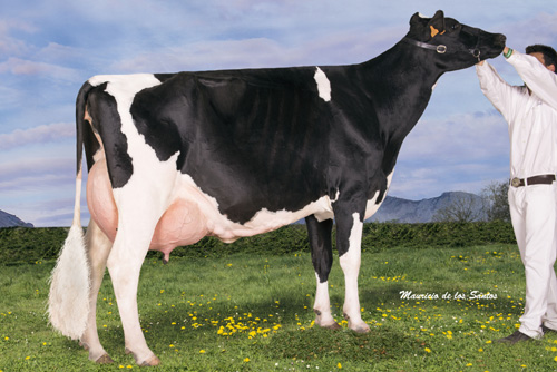 CAPON-HOLSTEIN GOLDWYN LARISA