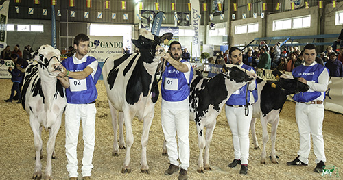 CONCURSO MANEXADORES