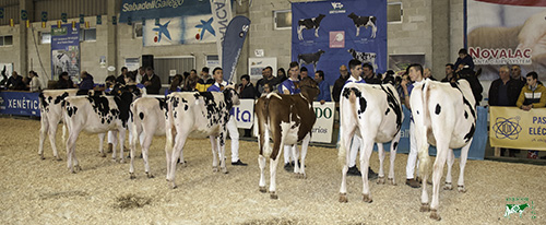 CONCURSO MANEXADORES MOEXMU