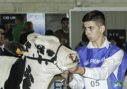 AVELINO SOUTO