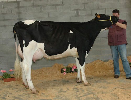 OUTEIRO XACOBEO KATANIA