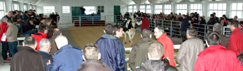 POXA CASTRO RIBEIRAS DO LEA