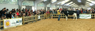 POXA SARRIA