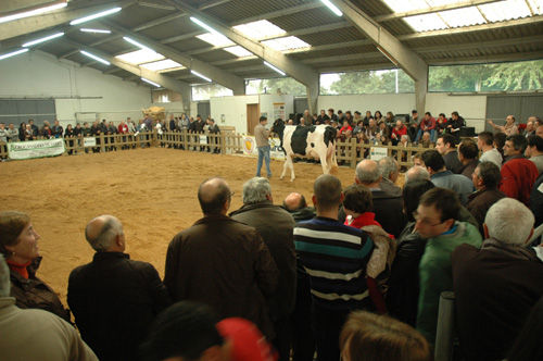 POXA SARRIA