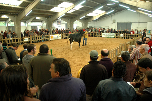 POXA SARRIA 2016