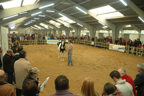 POXA SARRIA