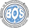 UTE BOS
