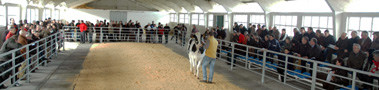 POXA CASTRO RIBEIRAS DE LEA