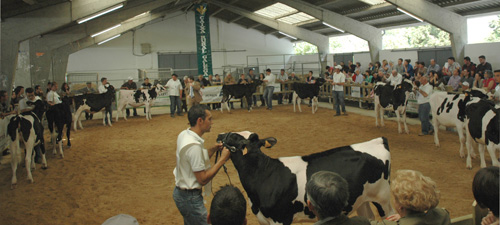 CONCURSO CRIADORES SARRIA