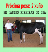 POXA EN CASTRO RIBEIRAS DO LEA