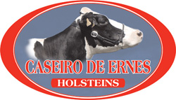CASEIRO DE ERNES