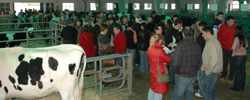 poxa castro  01/03/08