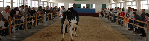 foto poxa