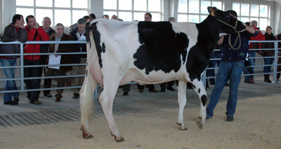 CASEIRODERNES RUBENS FABIOLA