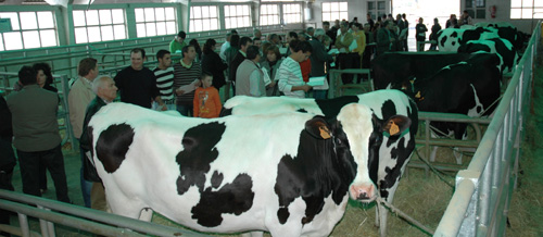 POXA CASTRO RIBEIRAS DO LEA
