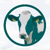 APP CEGACOL
